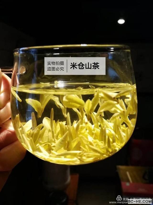 走进名优企业－米仓山茶业集团